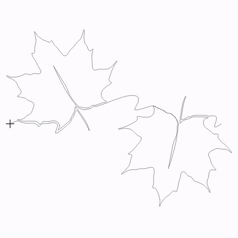 Double Maple Leaf